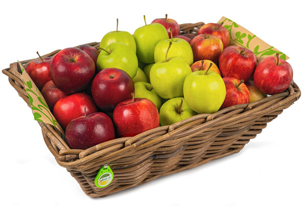 Fresh Organic Apple from 독일 supplied by Fruit's Best - Mixed 신선 사과