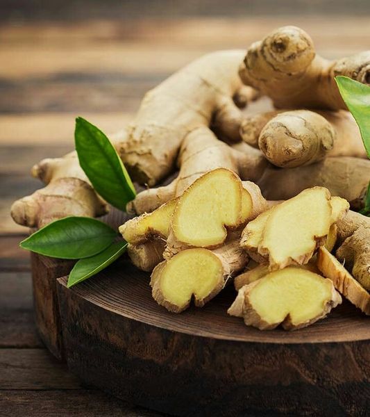 Fresh Ginger from 인도 supplied by phoenix  agro services - American Standard (=ASTA) 통생강