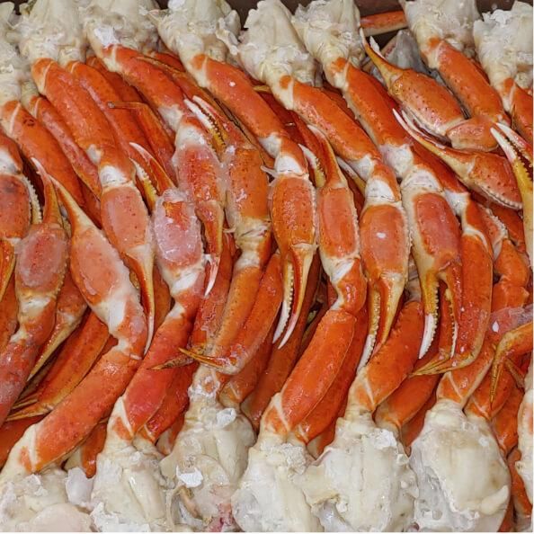 Snow Crab from 캐나다 supplied by Westmorland Fisheries Ltd. - Snow Crab - Alaska Snow crab (=Chionoecetes opilio=Opilio=Opies) 냉동 게