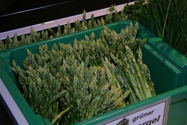 Fresh Asparagus from 독일 supplied by Hofmarkt Zapf - White 신선 아스파라거스