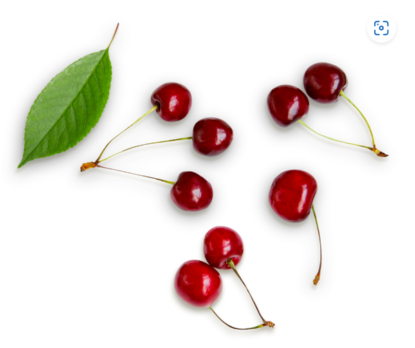 Cherries from Spain supplied by Diplanya - Whole Fresh Sweet Cherry