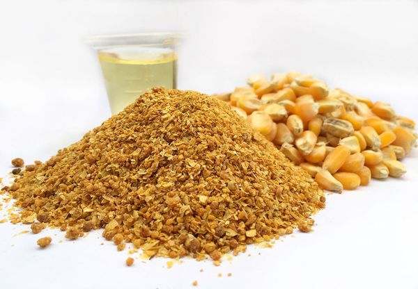 Corn Gluten Feed from 미국 supplied by Agniel Commodities LLC - Meal 옥수수글루텐피드