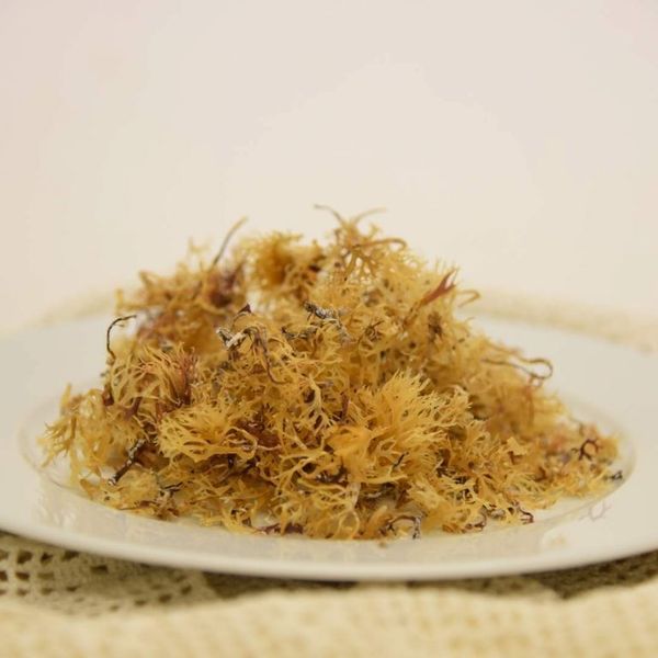 Organic Seaweed from Ireland supplied by Donegalbay Seaveg Ltd - Nori (=Porphyra Umbilicalis) Frozen Seaweed