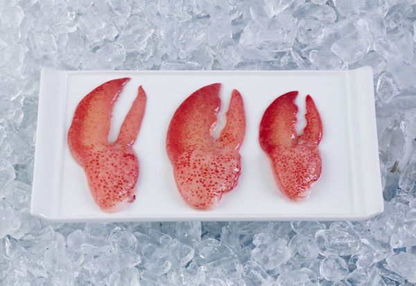 HPP Lobster Claws (Raw) from 캐나다 supplied by Shediac Lobster Shop Ltd. - Claws Only 신선 랍스터