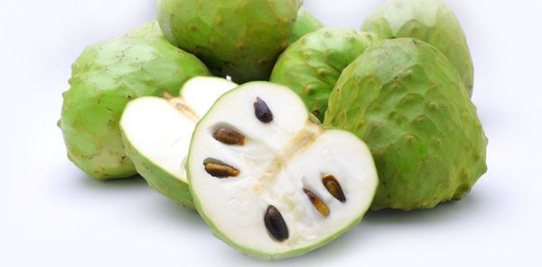 Custard Apple from 칠레 supplied by Exportadora y Comercializadora Rosales S.A. - Carton Box (=Cardboard Box) 신선 커스터드 애플