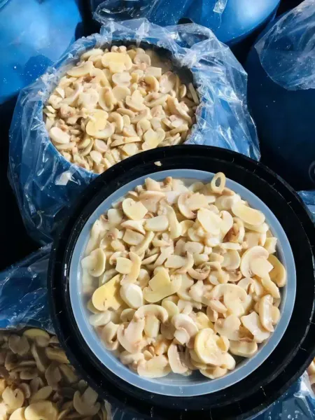 Brine Mushroom In Plastic Barrel from 중국 supplied by Zhangzhou Zhentian Trading Co.,Ltd - Preserved - in Brine 버섯 가공품