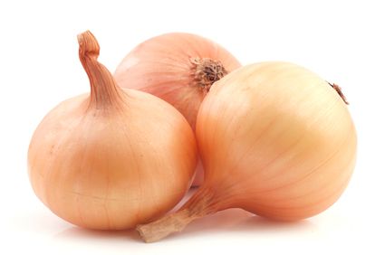 fresh onions from Netherlands supplied by Fresh Wise - Whole Fresh Onion
