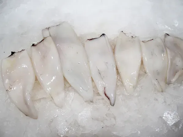 Squid from United Arab Emirates supplied by European Seafood - Cuttlefish (=Sepiida) Frozen Squid