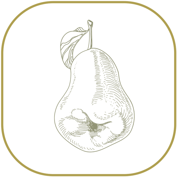 Fresh Pear from 그리스 supplied by Hatzisalatas S.A. - Whole 신선 배