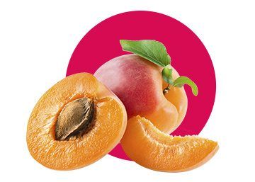 Fresh Whole Apricot from France supplied by REGAL'IN EUROPE / AGRO SELECTIONS FRUITS - Whole Fresh Plum
