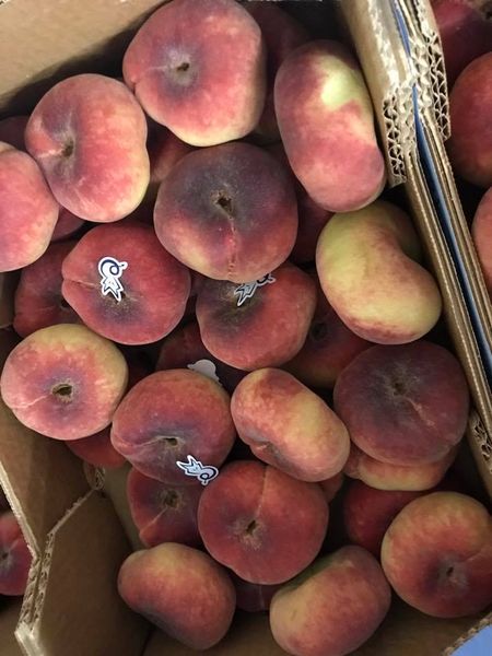 Peach from 독일 supplied by A + S Frucht GmbH & CO. KG - Fresh (=Chilled) 신선 복숭아