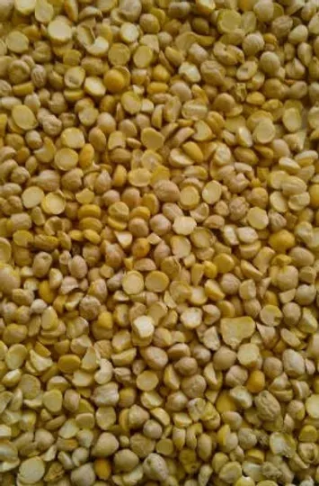 Chickpeas from 아르헨티나 supplied by Alimentos B.T. - Dried (=Dehydrated) 말린 병아리콩