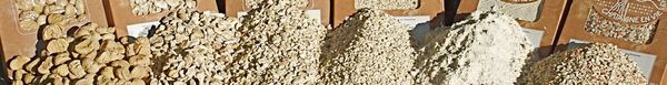 Dry Chesnut from France supplied by MAS DE LA FONT DES ROCHES - Dried Chestnut Kernel