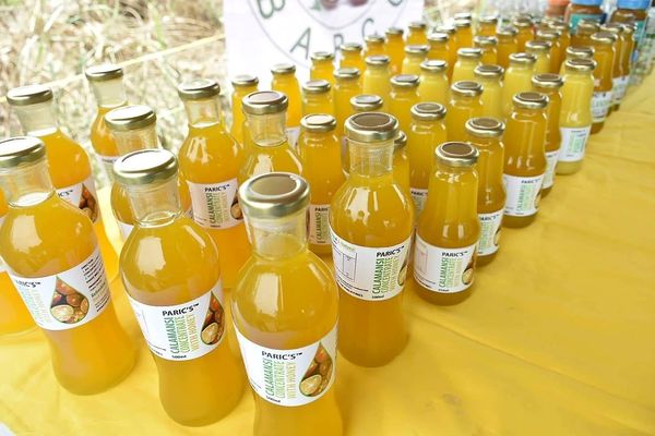 PARIC's Calamansi Concentrate with Honey from Philippines supplied by Pakyas Association of Rural Improvement Club - Extract Value Added Calamansi