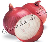 Onion from Pakistan supplied by Sadruddin & Co - Carton Box (=Cardboard Box) Fresh Onion