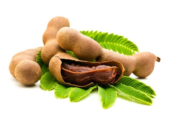 Fresh Tamarind from 케냐 supplied by Mina logistics services LLC - Red 신선 타마린드