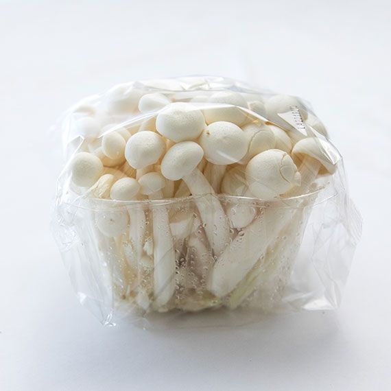 Shimeji from 스페인 supplied by Championes Cumar - Vacuum Packed (=VAC) 시메지버섯