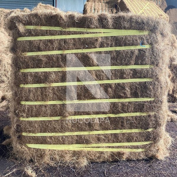 COCOFIBER from Indonesia supplied by CV. Genggam Bathi Khatulistiwa - Conventional Coco Coir