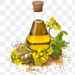 Rapeseed Oil from 러시아 supplied by LLC Naturproduct - 비정제 카놀라유 및 유채씨유