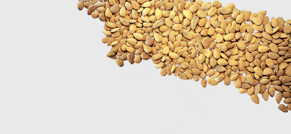 Shelled Almonds from 이탈리아 supplied by ANTONINO AFFRONTI S.R.L. - 갈색 아몬드 알맹이
