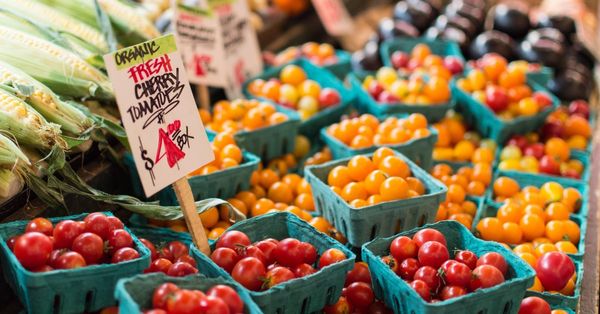 Tomatoes from 독일 supplied by Foodcircle - Red 신선 토마토