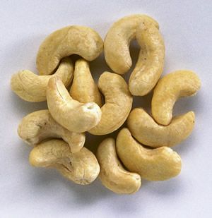 Cashew kernel from 나이지리아 supplied by Cardville Limited - Whole 캐슈너트 알맹이