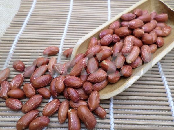 FRIED/ROASTED PEANUT KERNEL WITH RED SKIN from 중국 supplied by QINGDAO REDSEAL INTERNATIONAL TRADING CORP.,LTD - With skin 땅콩 알맹이