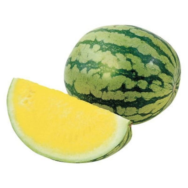 Seedless Yellow Watermelon from 스페인 supplied by Amifruit - Yellow Flesh 신선 수박