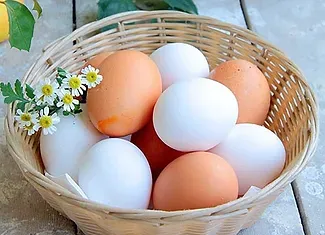 Chicken Egg from Russia supplied by OJSC Poultry farm Barkhatovskaya - Table Egg Chicken Egg