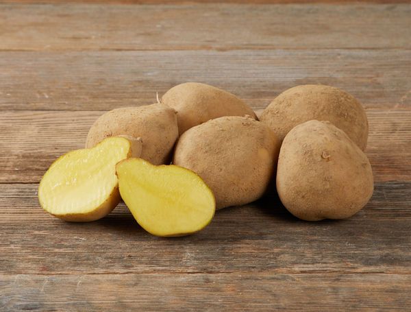 Jelly Potato from 우크라이나 supplied by BESTPOTATO - Farmed 신선 일반 감자