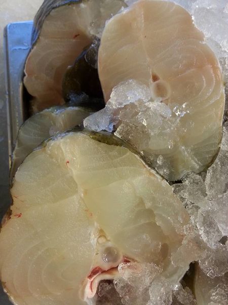 Cod from 노르웨이 supplied by Snorre Seafood AS - Fresh (=Chilled=Raw) 냉동 대서양 대구