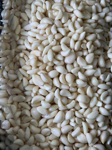 peeled garlic cloves from Greece supplied by Hellas Quality Foods Ike - Raw Fresh Garlic