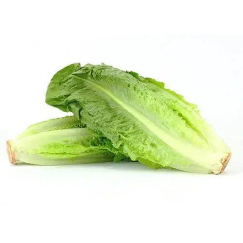 Lettuce from United States supplied by PRO*ACT - Whole Fresh Lettuce