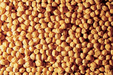 Chickpea from 캐나다 supplied by AGT Food and Ingredients - CA - Kabuli 말린 병아리콩
