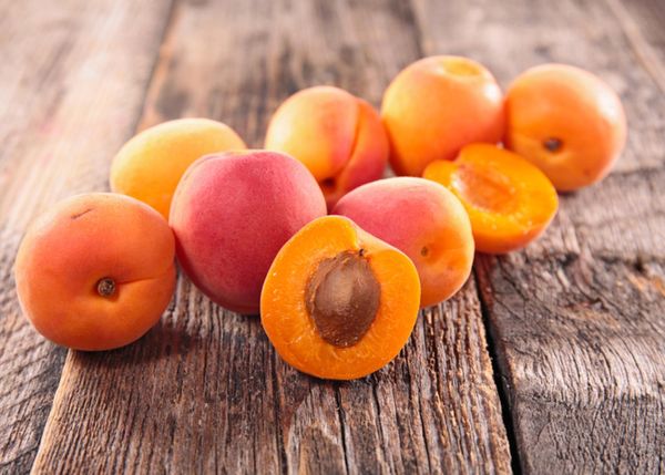 Apricot from United States supplied by Kingsburg Orchards - Queen Fresh Apricot