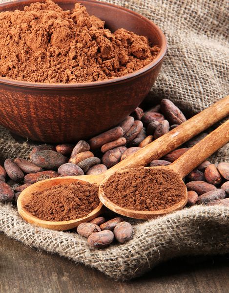 Cocoa Powder from Ecuador supplied by Latiali S.A. - Powder Cocoa Powder