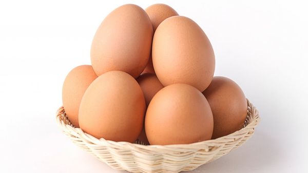 Fresh Chicken Egg from 말레이시아 supplied by Hock Soon Poultry Farm Sdn Bhd - In Shell 달걀