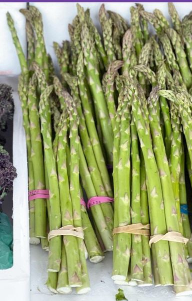 Fresh Asparagus from 말레이시아 supplied by FK SUPPLY - Glazed (=Candied) 신선 아스파라거스