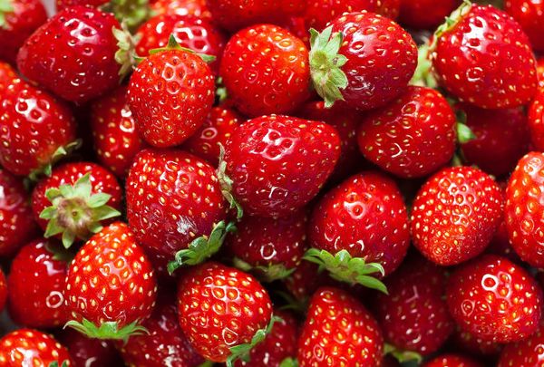 Frozen Strawberry from India supplied by Western Hill Foods Ltd. - Fresh Strawberry