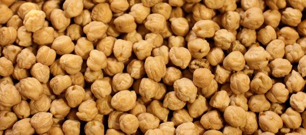 Chickpea from 이집트 supplied by Mawasem - Dried (=Dehydrated) 말린 병아리콩