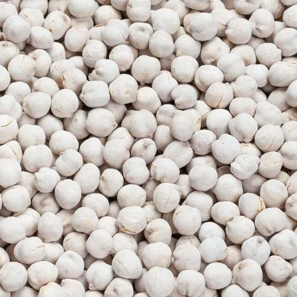 Dried Chickpea from 튀르키예 supplied by Tatnut - Dried (=Dehydrated) 말린 병아리콩