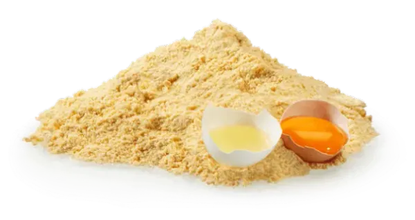 Whole Eggs Powder from Spain supplied by GRUPO EUROVO - MARCOPOLO COMERCIO - Whole Egg Egg Powder