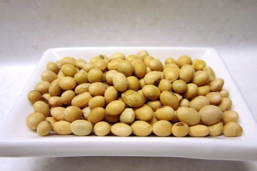 Soy Bean from 오스트리아 supplied by CAJ. STROBL NATURMUEHLE GMBH - Golden Yellow 대두