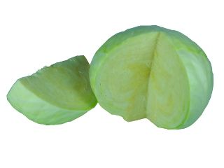 fresh cabbage from 독일 supplied by Hermann Albers Obst & Gemüse GmbH - Fresh (=Chilled) 신선 양배추