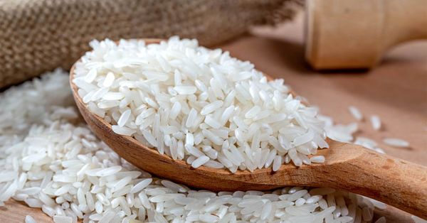 Rice 5% broken 2*12500 MTs (Inquiry) from India supplied by Khaothong(viethoa689@gmail.com) - Medium Quality Glutinous Rice