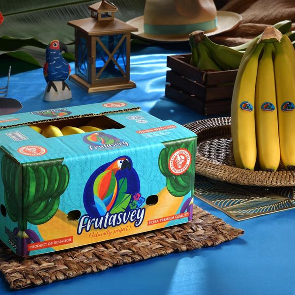 Banana from Ecuador supplied by Frutadeli - Premium Quality Fresh Banana