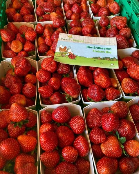 Fresh Strawberry from Switzerland supplied by Werro's Biohof - Whole Fresh Strawberry