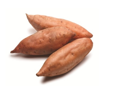 Sweet Potato from 이집트 supplied by Fruiticana - Red Skin 고구마