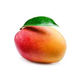Fresh Whole Mango from Spain supplied by DIFRUSA EXPORT, S.A. - Conventional Fresh Mango