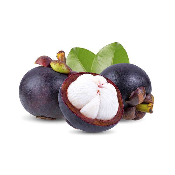 Mangosteen from 태국 supplied by PURITHAI PRODUCE CO.,LTD. - White Flesh 신선 망고스틴